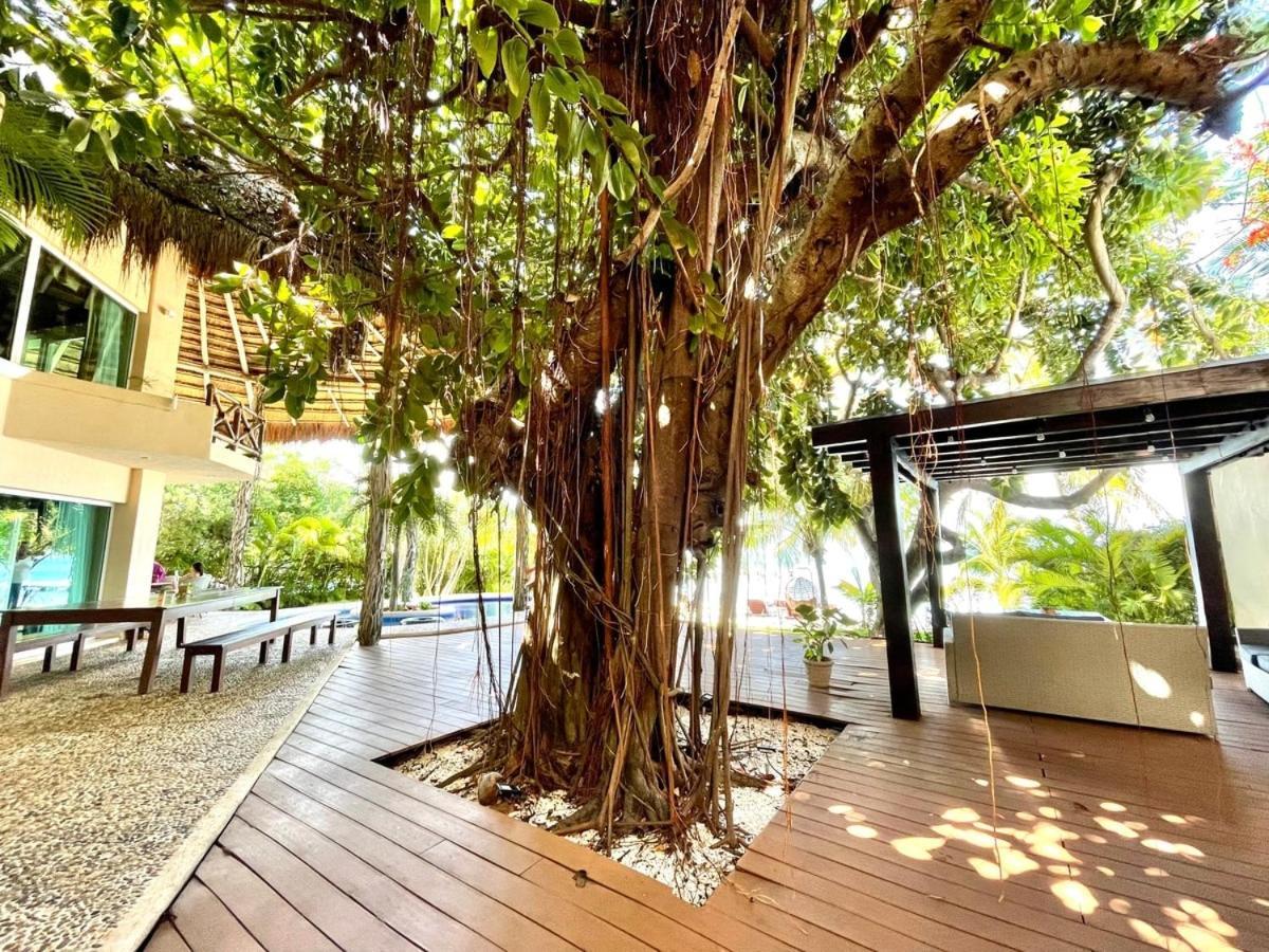 Villa Angela Ilha das Mulheres Exterior foto
